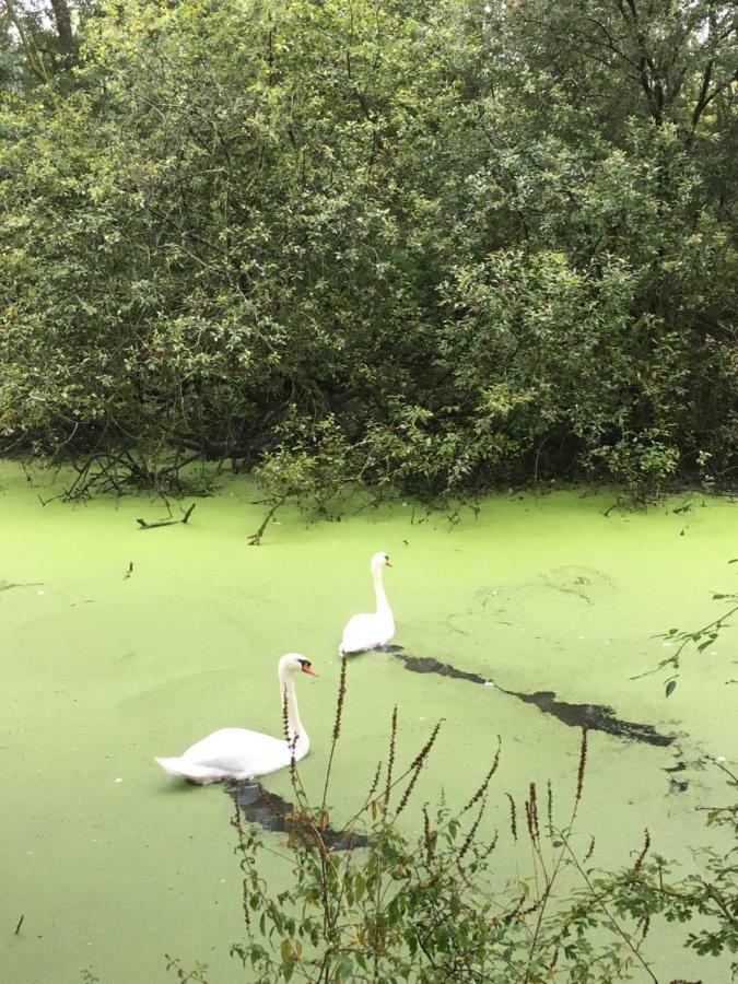 Voel Je Thuis Zwolle  Zewnętrze zdjęcie